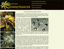 Tablet Screenshot of amsterdammarijuanaseeds.info